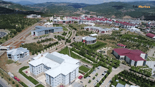 Bingöl Üniversitesi Akademik İlan Logosu