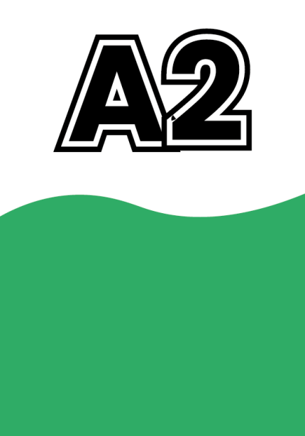 A2 Almanca Üniversite Düzeyi